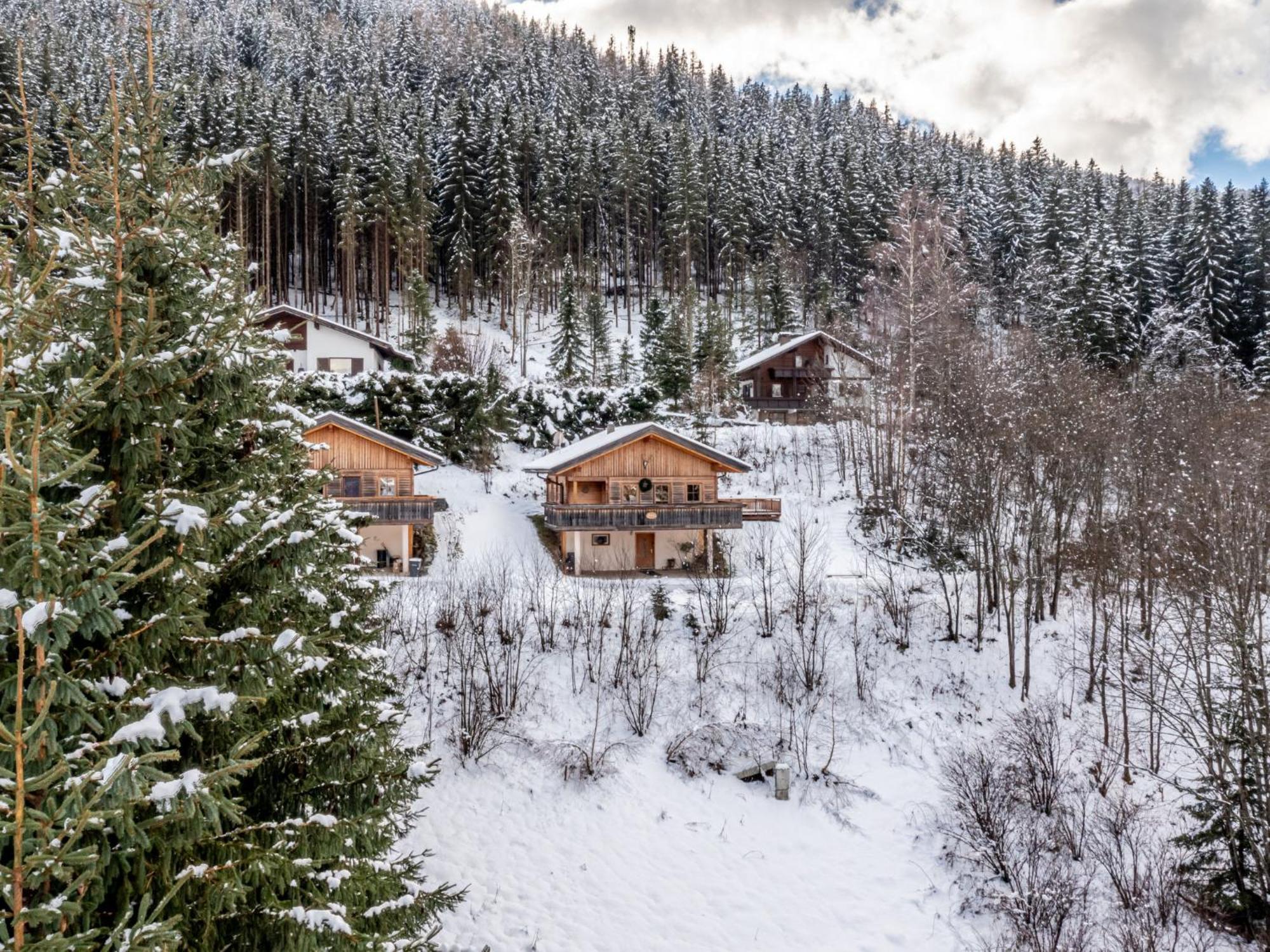 Chalet Chalet Venus By Interhome Patergassen 外观 照片